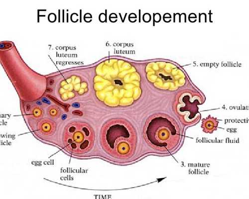 深圳求助代孕-深圳有找过代孕妈妈的吗【国家代孕基地，还您孕育梦想】