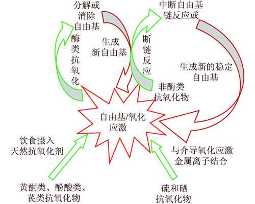 深圳助孕地址_深圳代孕电话多少【深圳科学助孕，攻克不孕不育难题】