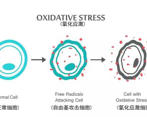 深圳试管婴儿选择性别需要多少钱,做试管哪个医院能选男女