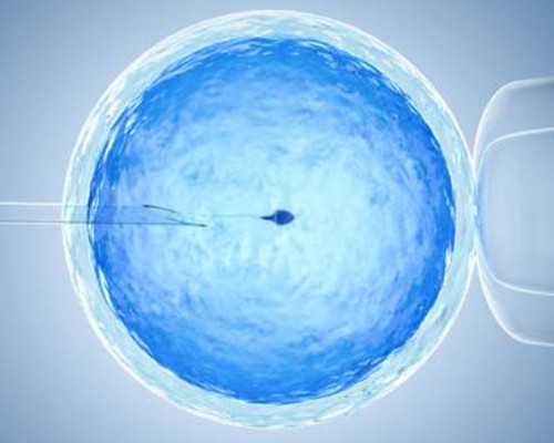 供卵试管最好的机构_哪里有靠谱代生公司