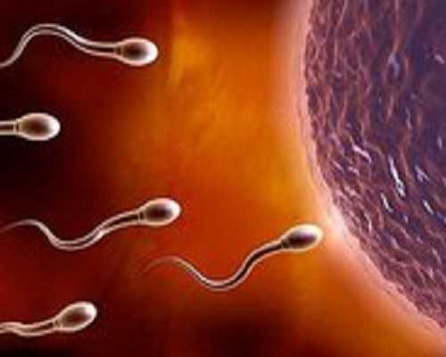 找女人代孕多少钱～北京房价：“内循环”为主