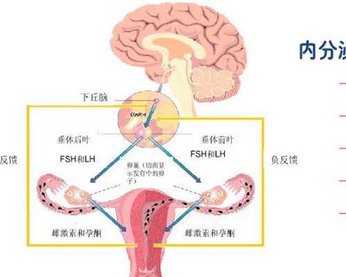 深圳供卵代孕选性别，深圳代怀男孩中介