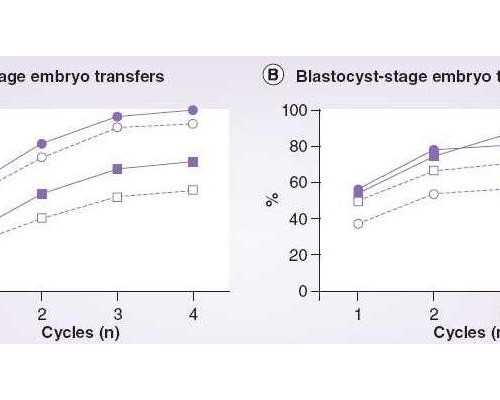 深圳代生孩子养胎不养胖，掌握这几点很重要
