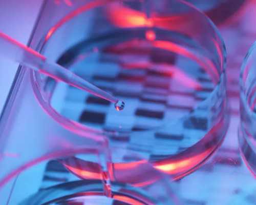 深圳代生孩子价格~深圳能助孕的公司【深圳助生孩子零风险,用专业孕育未来