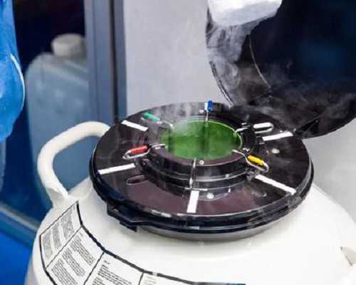 北京借卵生子哪家医院好