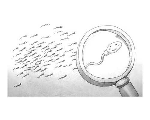 代孕孩子怎么办:输卵管通而不畅的手术