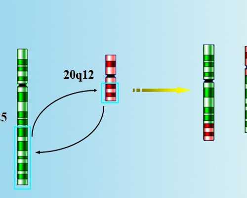 代孕机构,代孕九个月男孩肚型