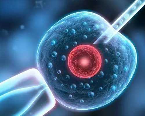 广东供卵产子,广东产妇月子餐30天食谱大全