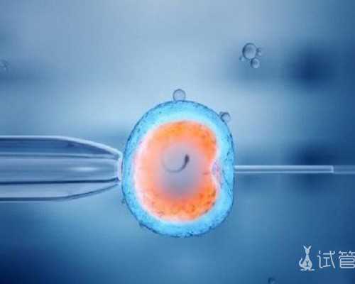 跳出深圳看深圳发展动能强劲未来可期