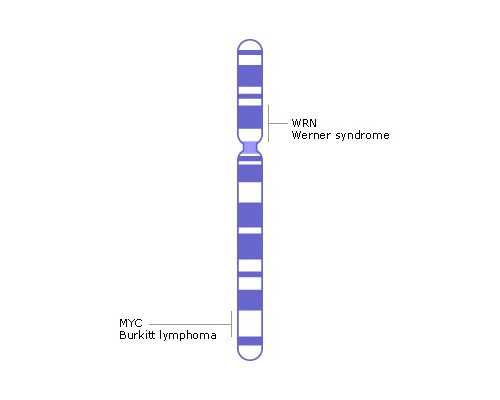 代孕网价格_找人代孕要多少钱_孕期怎样补钙