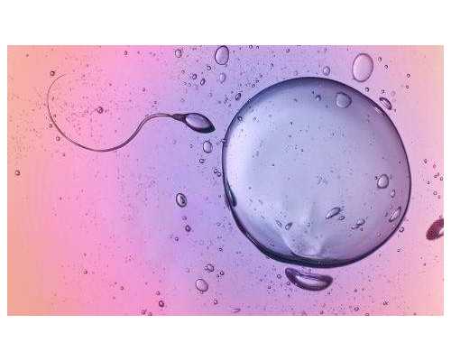 深圳供卵试管一般多少钱,超X综合征供卵成功率高吗