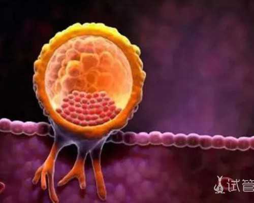 深圳国内哪个代孕机构较好-深圳三代试管代孕多