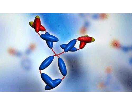 高龄孕妇能锻炼身体吗