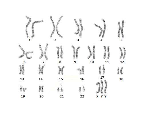 上海高龄试管借卵成功率,输卵管堵塞做供卵试管做哪些检查