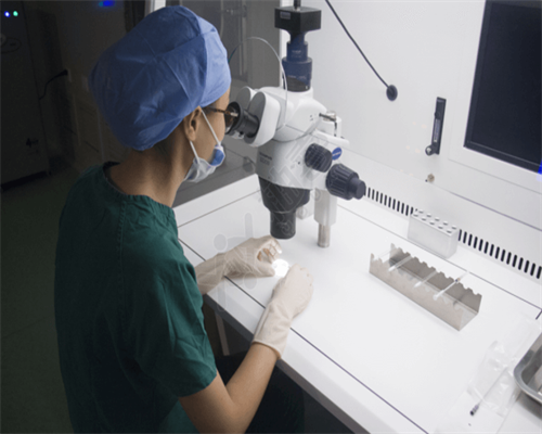 供卵试管公司包性别-哪地方代怀权威