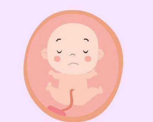 三代试管供卵价格多少钱