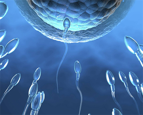 深圳合法代孕-深圳找代孕好吗-深圳代孕需要多大年龄