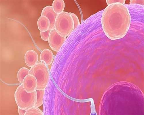 深圳代孕价格_深圳代孕手术花多少钱_排卵期白带有褐色