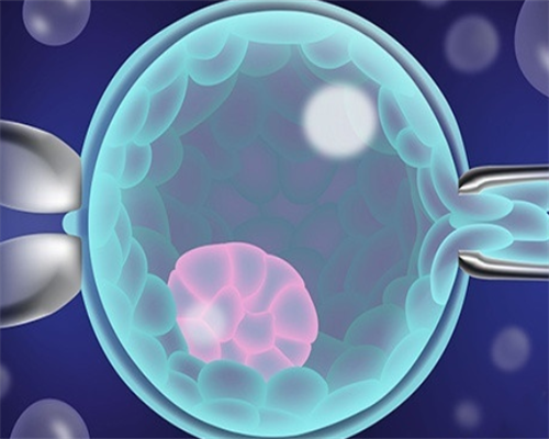 长春供卵试管婴儿医院排行榜？长春借卵做试管的费用是多少