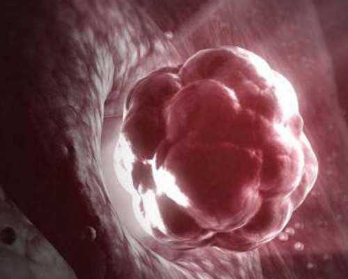 深圳市人民医院龙华分院供卵生男孩试管成功率高达55%