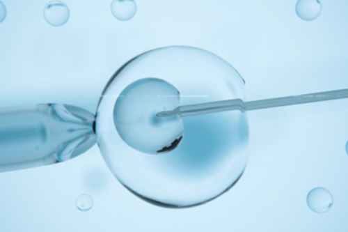 深圳高龄试管借卵子成功率,深圳人民医院试管婴儿技术怎么样？大概成功率有