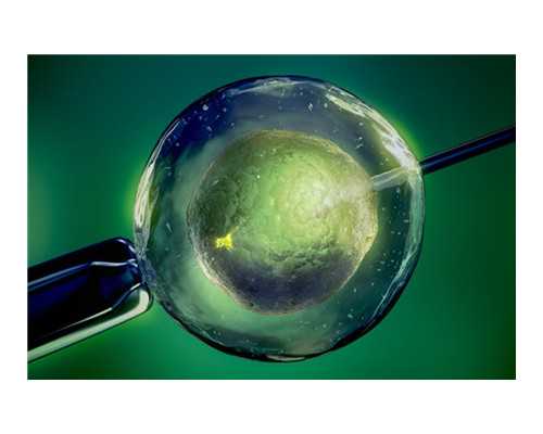 深圳代孕中介公司-深圳代孕生子什么价位【权威基地，天赐好孕】