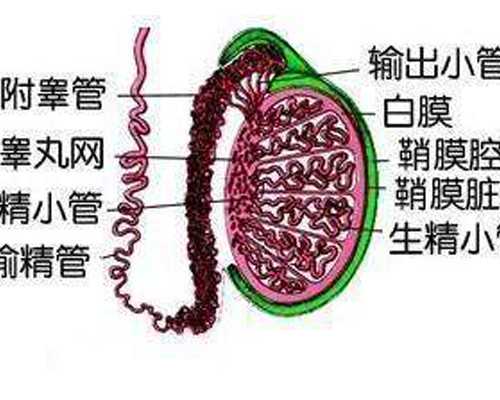 广东代生生仔,广东计划生育专科医院
