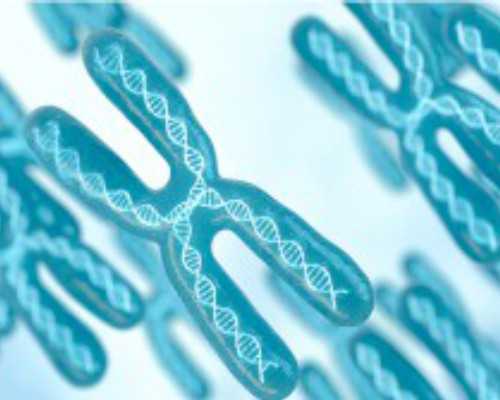 上海供卵流程，上海可以买精子库吗