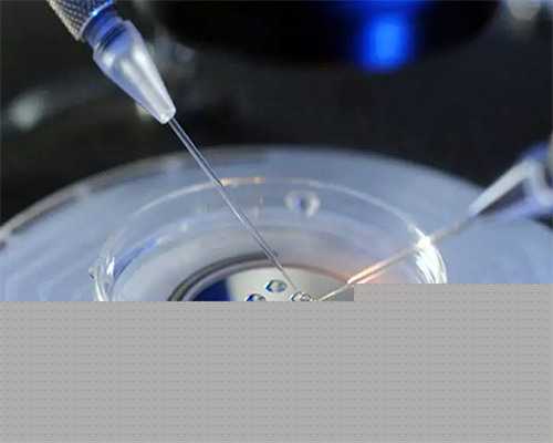 佛山专业供卵试管价格,【深圳专业供卵价格表】八号排卵，现在官方，终于等