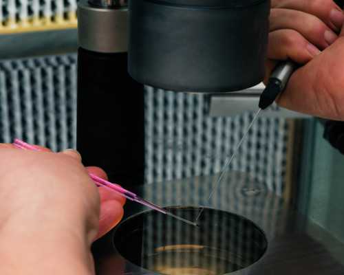 深圳代生孩子多少钱_深圳找人做代孕多少钱_孕妇吃绿豆煲老鸽的功效