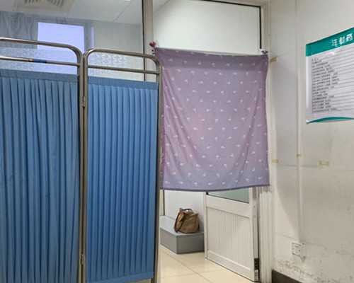 供卵试管选性别_职业代怀网