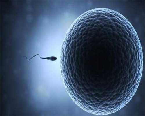 深圳供卵试管大概费用,多囊卵巢供卵成功率高吗