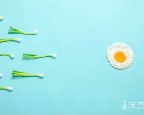 深圳代孕产子费用-深圳代孕最新技术-深圳代孕产子价格生子