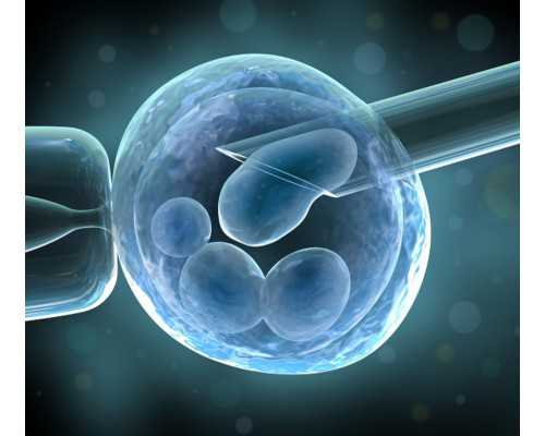 大连能做第三代试管婴儿