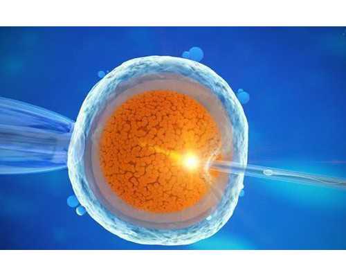 深圳代生小孩_深圳为何禁止商业代孕【深圳选择代孕，拥有可爱的宝宝不是梦