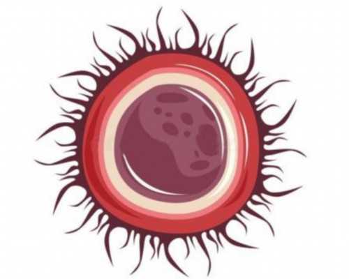 三代囊胚活检意义_保山三代6个囊胚活检男孩