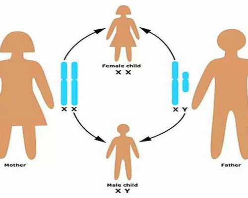 武汉代孕公司地址-武汉代孕有风险吗-纯牛奶一天喝多少合适