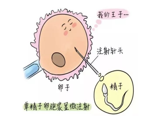 代孕前能喝葡萄酒吗？_哪里能找到代孕_2020年鼠