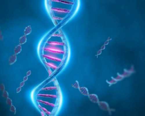 哪家医院可以代孕：男性精子活力低能怀孕吗