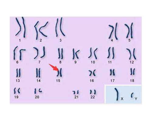 南昌代生网,南昌哪个医院做试管婴儿好、费用、成功率等都在这里