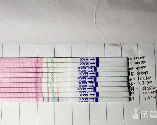 专业代孕公司,最爱的人:芮莹告诉家人没怀孕