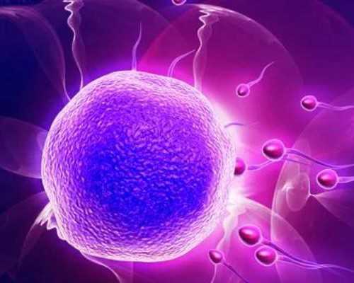 去哪里做代妈好，快速怀孕有几个小妙招  你知道