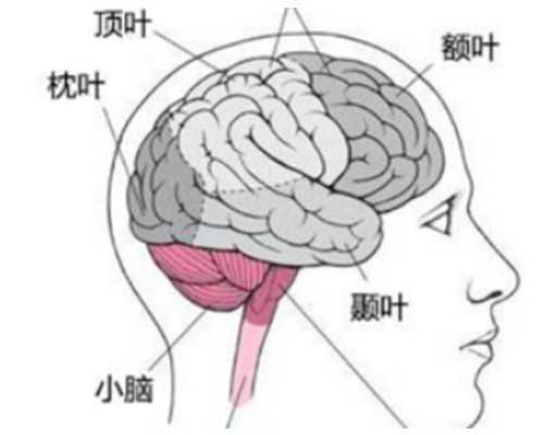 哪里有正规专业的供卵机构，代生代怀孩子