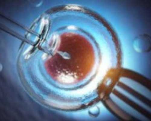 上海高龄供卵成功率有多少，输卵管功能障碍做供卵试管哪家医院好