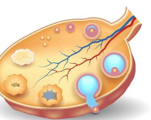深圳代生孩子中字，深圳包生男孩公司
