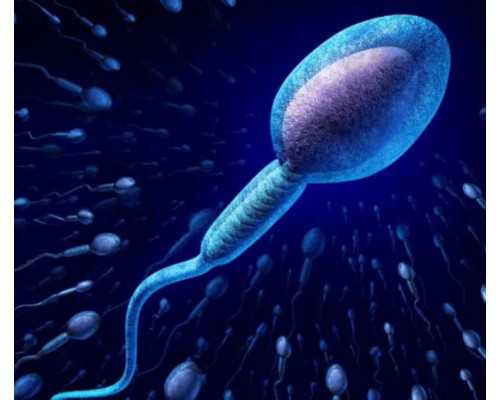 遂宁代孕谁做过_遂宁代孕在线咨询_遂宁代孕公司