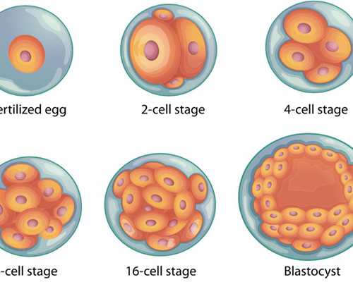 深圳代孕生孩子-深圳代生有联系方式吗【不孕不再是烦恼——深圳助孕基地。