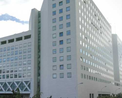 深圳代孕合法吗-深圳代生女儿-补锌能提高性功能吗