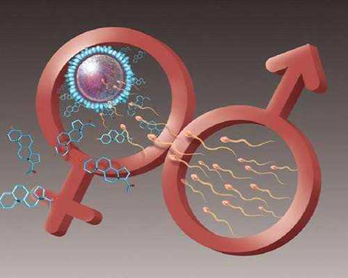 深圳代孕的价格_深圳最有实力的代孕机构_备孕抽烟了吃叶酸行吗