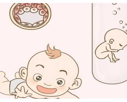 专业代孕网_代孕网费用_做代孕成功率有多大